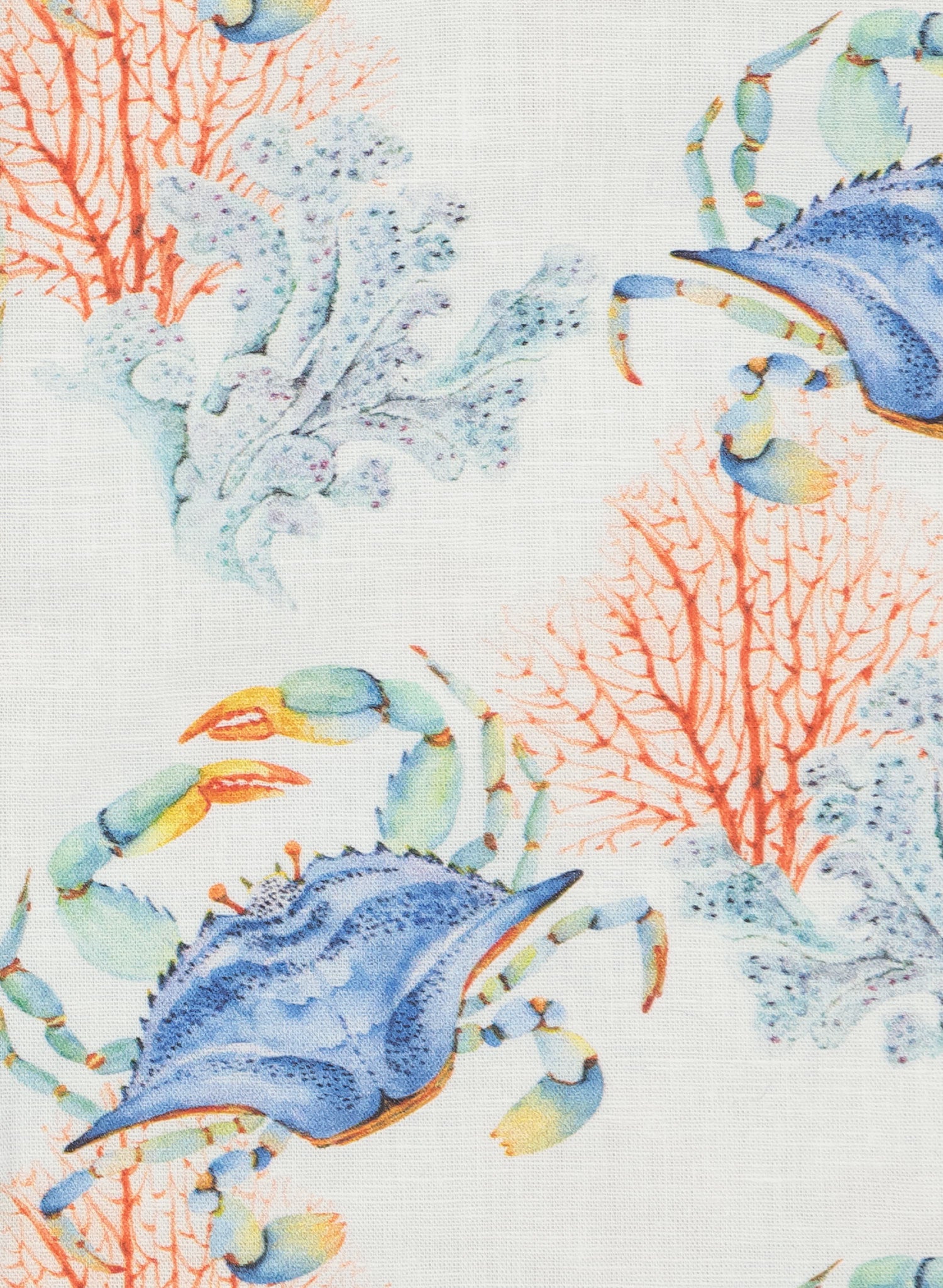 Camisa de niño Tropical Crassum