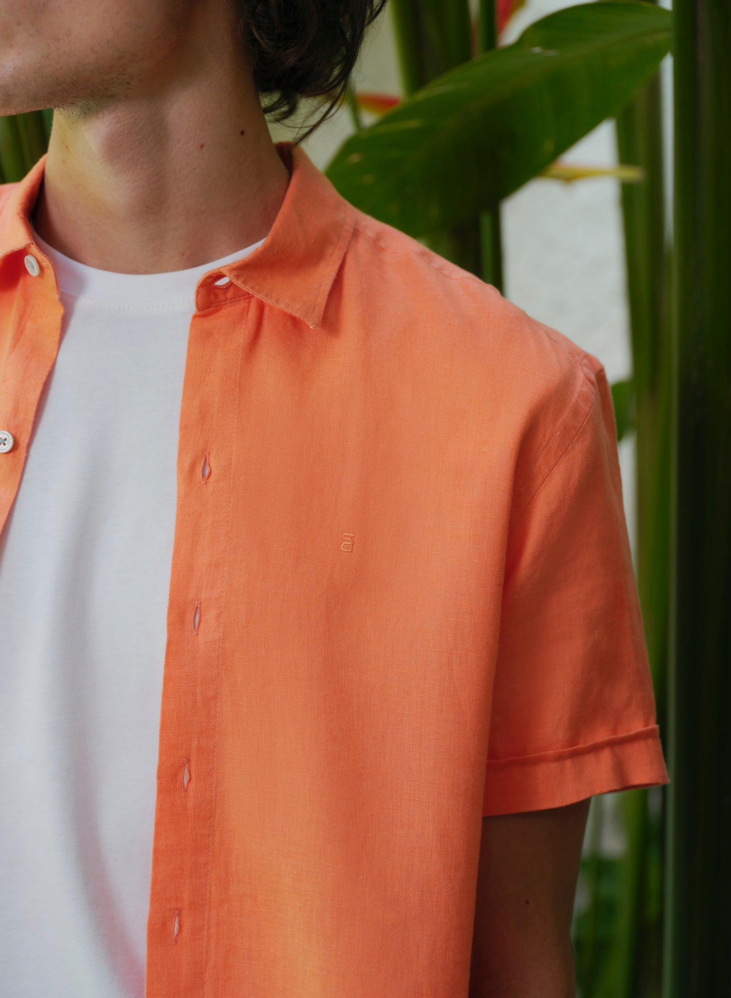 Camisa manga corta Park