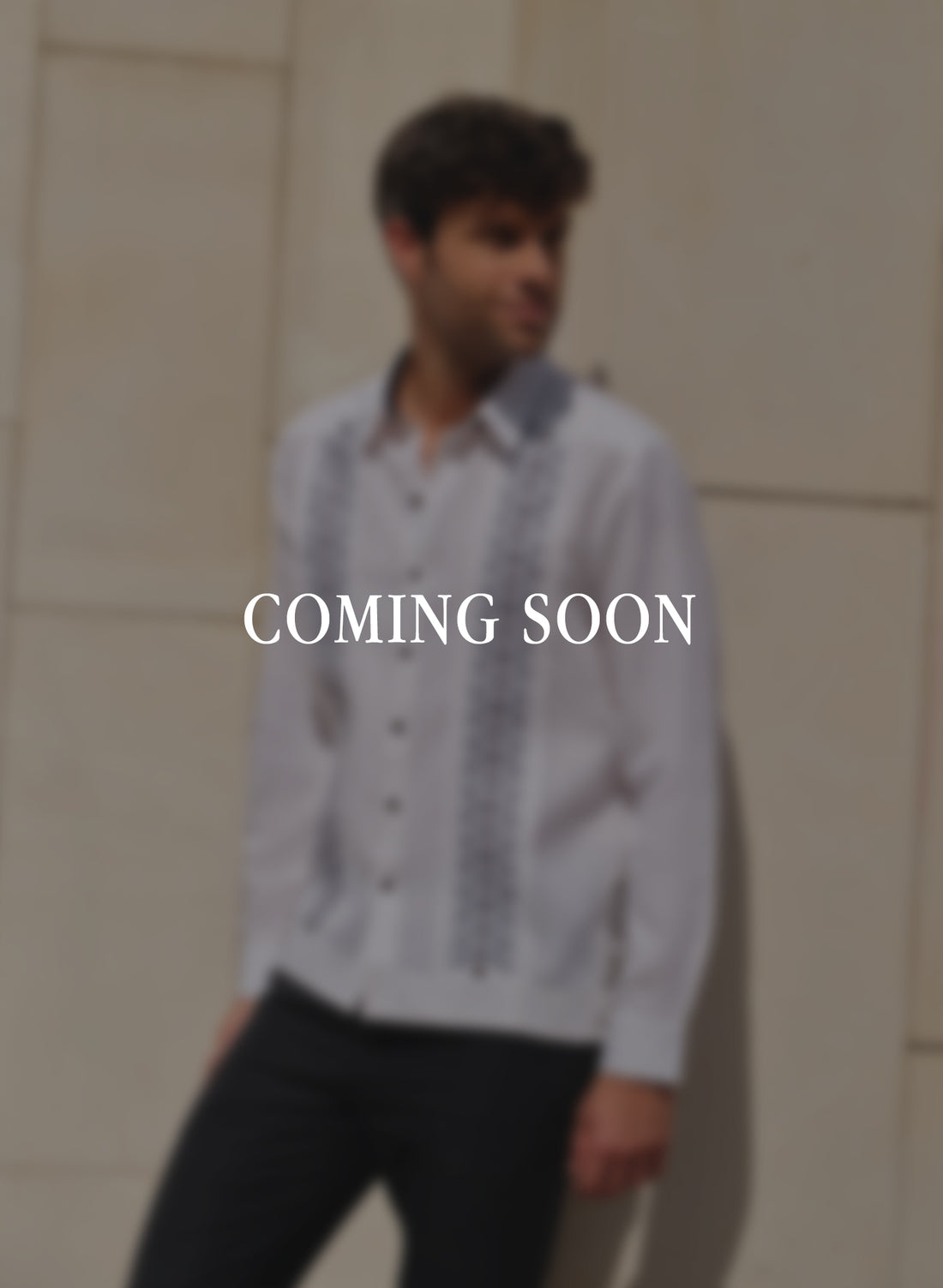 Guayabera manga larga 100% Lino Luan